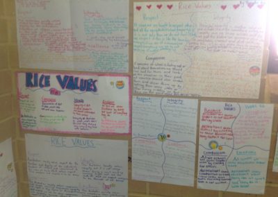 HaSS Y 6 RICE poster